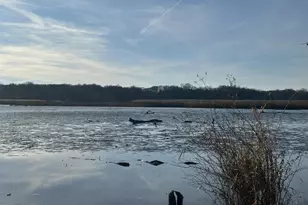 6 Lansdown Ct, Elkton, MD 21921 - Photo 32