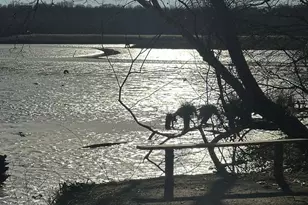 6 Lansdown Ct, Elkton, MD 21921 - Photo 24