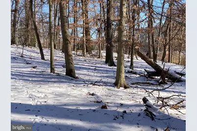 532 Stoney Battery Road, Earleville, MD 21919 - Photo 74