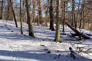 532 Stoney Battery Rd, Earleville, MD 21919 - Photo 74