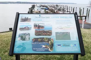 63 NE Isles Dr, North East, MD 21901 - Photo 46