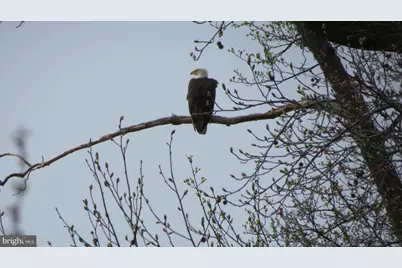 63 NE Isle Drive #42 A, North East, MD 21901 - Photo 40