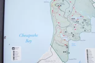 21 Darrel Rd, North East, MD 21901 - Photo 36