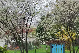 34 Mowbray Ln, North East, MD 21901 - Photo 26