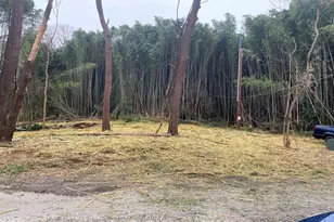 Ohio Ave, Earleville, MD 21919 - Photo 16