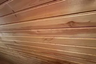 72 Shady Bch Rd, North East, MD 21901 - Photo 16