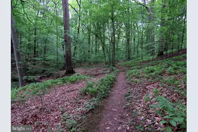 72 Shady Beach Road, North East, MD 21901 - Photo 30