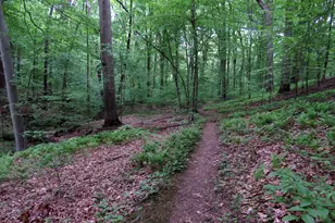 72 Shady Bch Rd, North East, MD 21901 - Photo 30