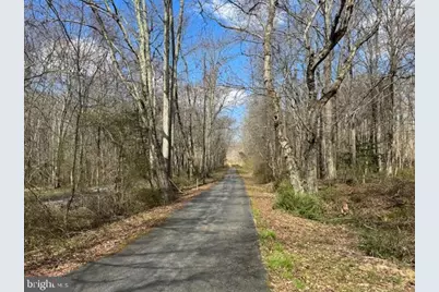 72 Shady Beach Road, North East, MD 21901 - Photo 8