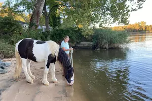 137 Elk Ranch Park Rd, Elkton, MD 21921 - Photo 48