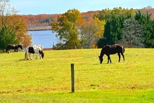 137 Elk Ranch Park Rd, Elkton, MD 21921 - Photo 40