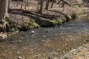 54 Oakridge Ct, Elkton, MD 21921 - Photo 48