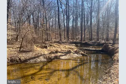 54 Oakridge Court, Elkton, MD 21921 - Photo 42