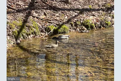 54 Oakridge Court, Elkton, MD 21921 - Photo 46