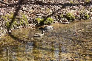 54 Oakridge Ct, Elkton, MD 21921 - Photo 46