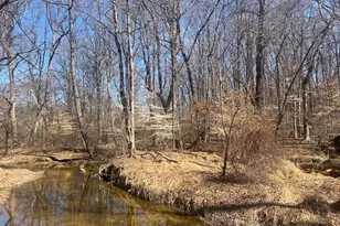 54 Oakridge Ct, Elkton, MD 21921 - Photo 44