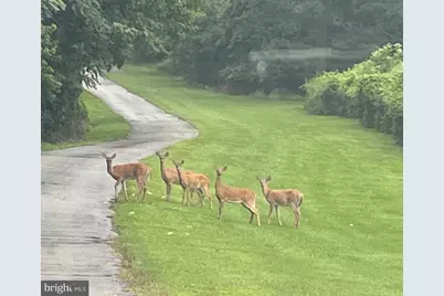 750 Cassidy Wharf Road, Earleville, MD 21919 - Photo 134