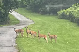 750 Cassidy Wharf Rd, Earleville, MD 21919 - Photo 134