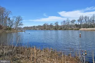 721 Knight Island Rd, Earleville, MD 21919 - Photo 12