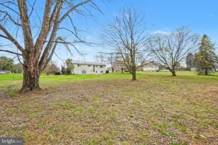 1621 Liberty Grove Rd, Conowingo, MD 21918 - Photo 30