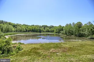 32 Codjus Dr, Rising Sun, MD 21911 - Photo 46