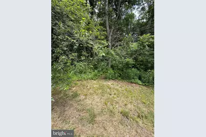 Ragan Road, Conowingo, MD 21918 - Photo 4