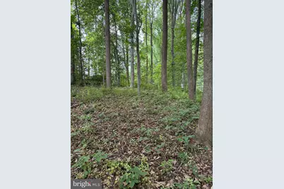 Ragan Road, Conowingo, MD 21918 - Photo 2