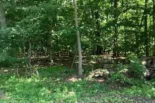 11 Wildwood Ln, Port Deposit, MD 21904 - Photo 20