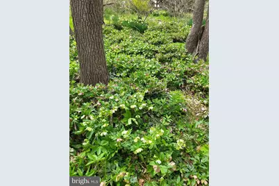 384 Blacksnake Road, Elkton, MD 21921 - Photo 28