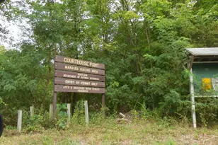 981 Ct House Rd, Chesapeake City, MD 21915 - Photo 16