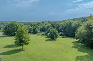 50 Rhodes Mountain, North East, MD 21901 - Photo 10