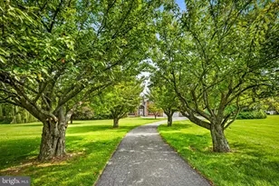 54 Mt Olivet Rd, Rising Sun, MD 21911 - Photo 2