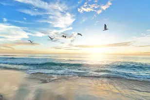 215 Daytona Rd, Egg Harbor Township, NJ 08234 - Photo 30