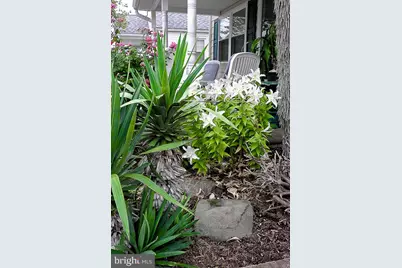 32 N Manor Avenue, Longport, NJ 08403 - Photo 6