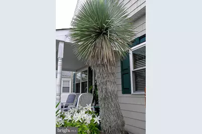 32 N Manor Avenue, Longport, NJ 08403 - Photo 10