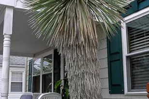 32 N Manor Ave, Longport, NJ 08403 - Photo 10