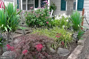 32 N Manor Ave, Longport, NJ 08403 - Photo 8