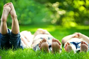 222 Daytona Rd, Egg Harbor Township, NJ 08234 - Photo 28