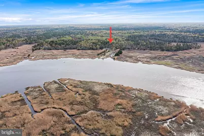 333 Betsey Scull Road, Egg Harbor Township, NJ 08234 - Photo 38