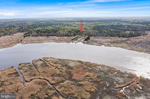 333 Betsey Scull Rd, Egg Harbor Township, NJ 08234 - Photo 38