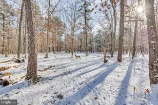 534 10th St, Newtonville, NJ 08346 - Photo 34