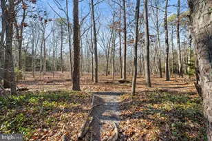 632 E Lost Pine Wway Rd, Galloway, NJ 08205 - Photo 58