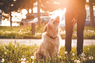 225 Daytona, Egg Harbor Township, NJ 08234 - Photo 26