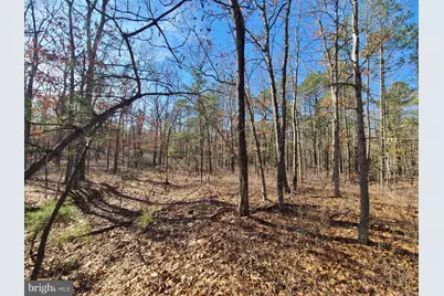 L7 Betsey Scull Road, Egg Harbor Township, NJ 08234 - Photo 2