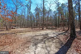 6188 Maryland Ave, Mays Landing, NJ 08330 - Photo 64