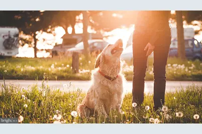 245 Huntington Drive, Egg Harbor Township, NJ 08234 - Photo 48