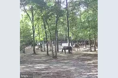 11 Princeton Avenue, Egg Harbor Township, NJ 08234 - Photo 4