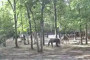 11 Princeton Ave, Egg Harbor Township, NJ 08234 - Photo 4