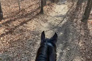 11 Princeton Ave, Egg Harbor Township, NJ 08234 - Photo 12