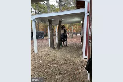 11 Princeton Avenue, Egg Harbor Township, NJ 08234 - Photo 2